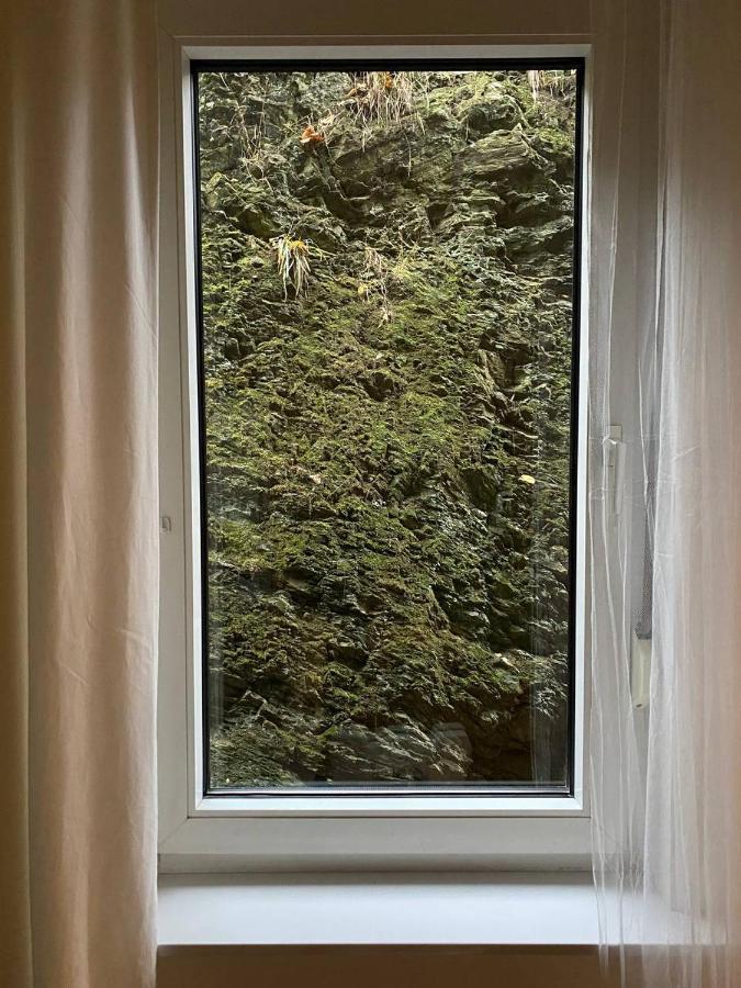 Ferienhaus Art Apartment - Harz Zorge Exterior photo